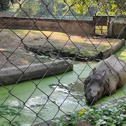 Zoological Garden, Alipore