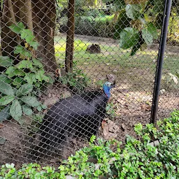 Zoological Garden, Alipore