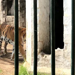 Zoological Park Returning Bus Stop