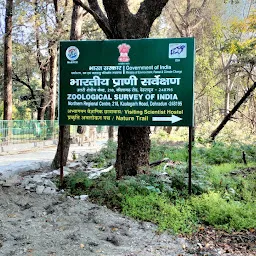 Zoological Survey of India, Dehradun