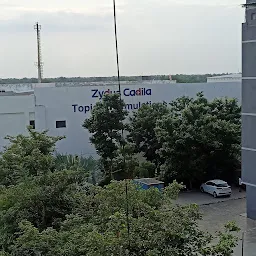 Zydus Cadila Healthcare Ltd